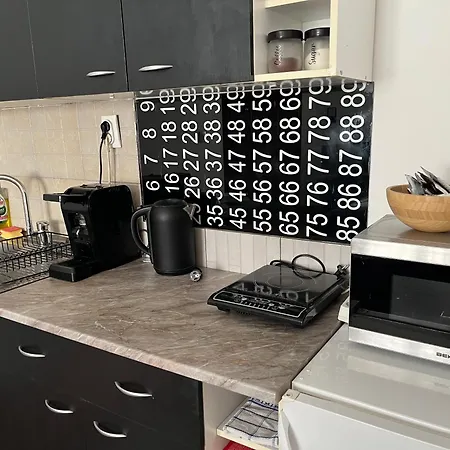 Studio Vracar Belgrad Exteriör bild